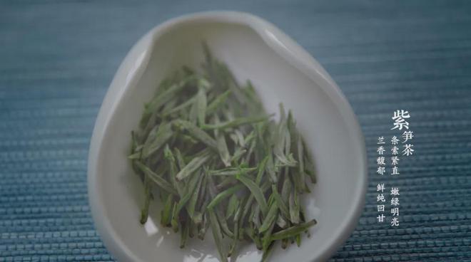 茶香醉人紫阳富硒茶