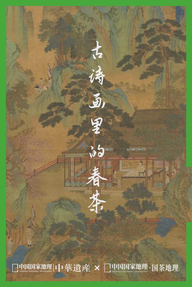 茶香醉人紫阳富硒茶