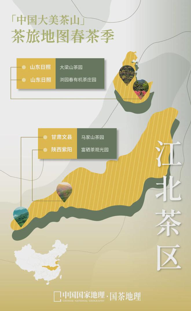 茶香醉人紫阳富硒茶