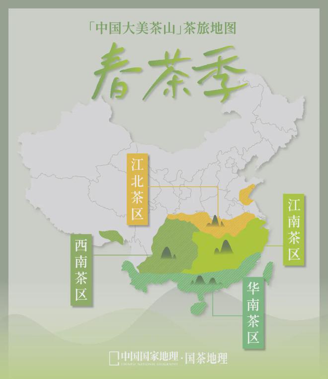 茶香醉人紫阳富硒茶
