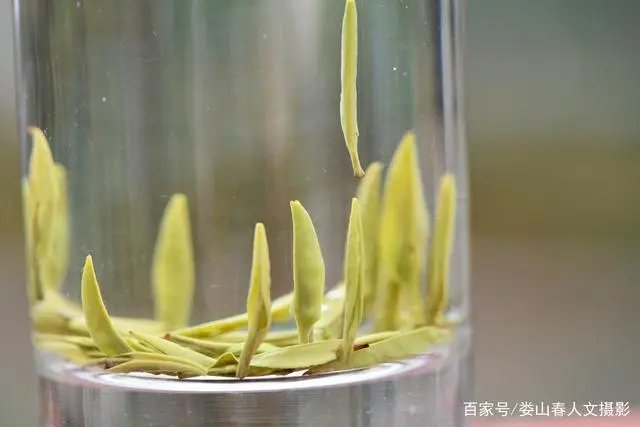 句容凤冈富锌富硒茶