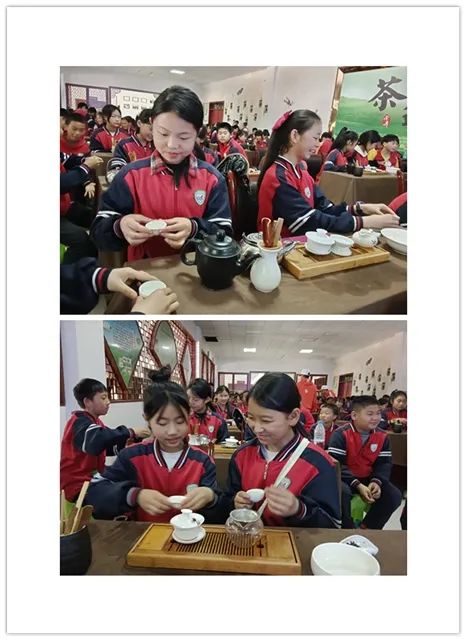 开阳富硒茶是什么茶