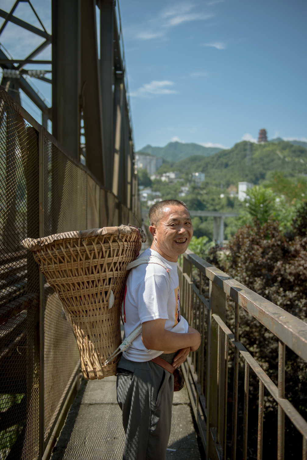 茶香醉人紫阳富硒茶