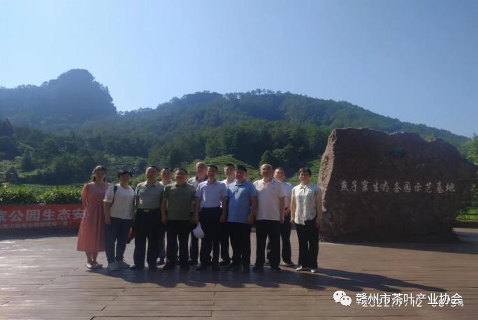 富硒黄金茶是什么茶