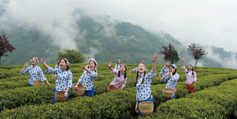 紫阳富硒茶的含硒量