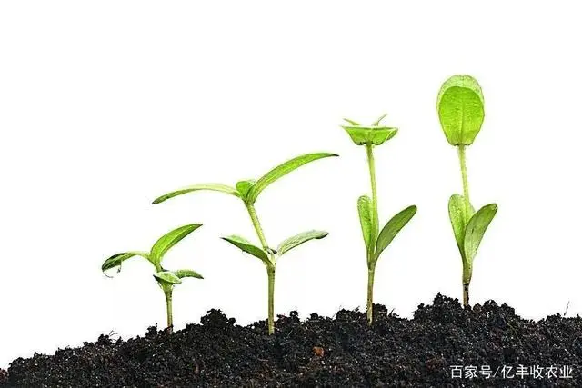 钙是常量元素还是微量元素