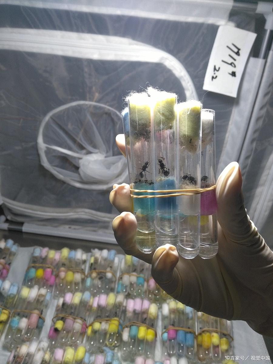 钙是常量元素还是微量元素
