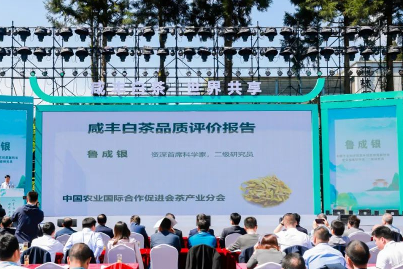 武汉恩施富硒茶企业