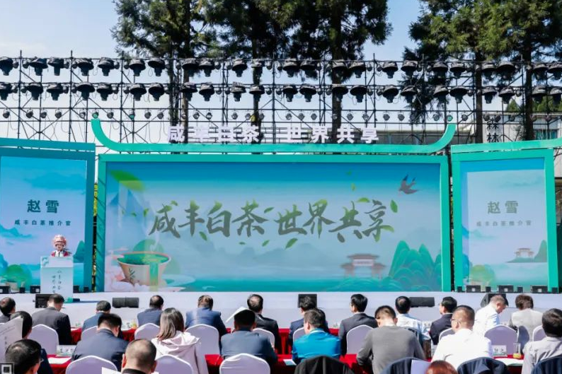 武汉恩施富硒茶企业