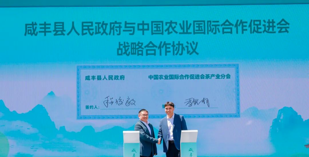 武汉恩施富硒茶企业