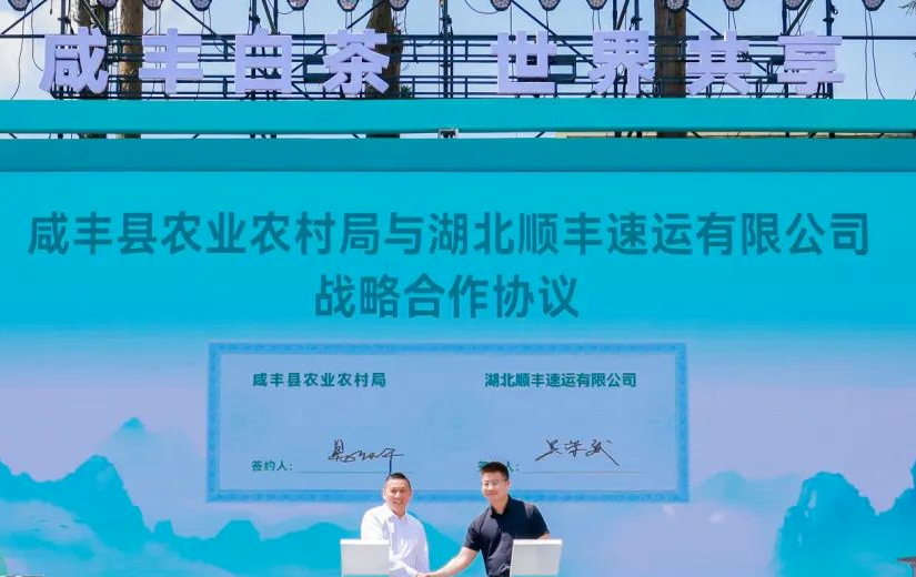 武汉恩施富硒茶企业