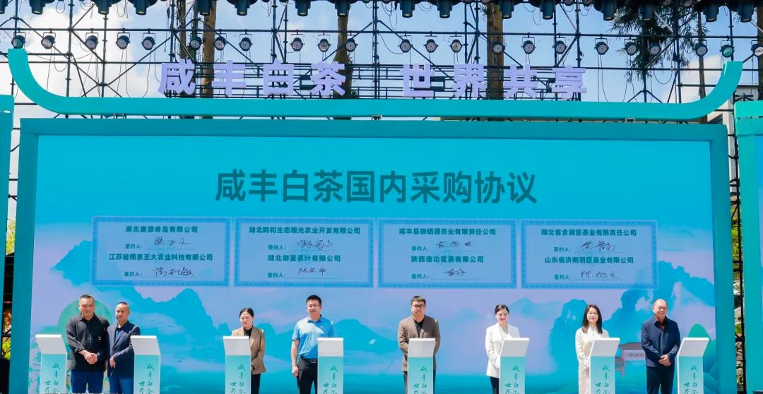 武汉恩施富硒茶企业