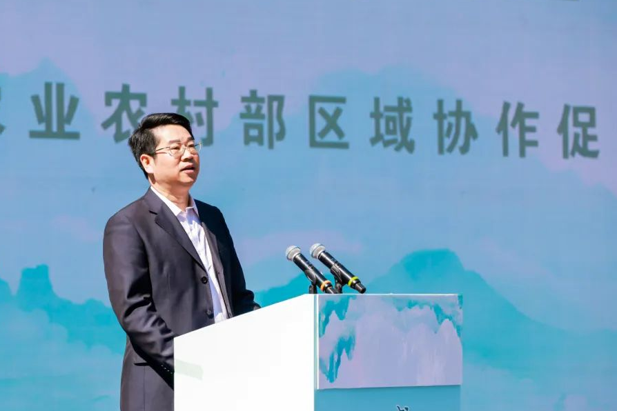 武汉恩施富硒茶企业