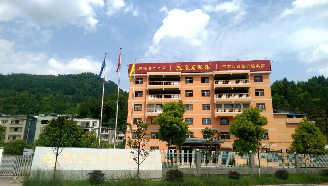 湖北恩施富硒茶加工