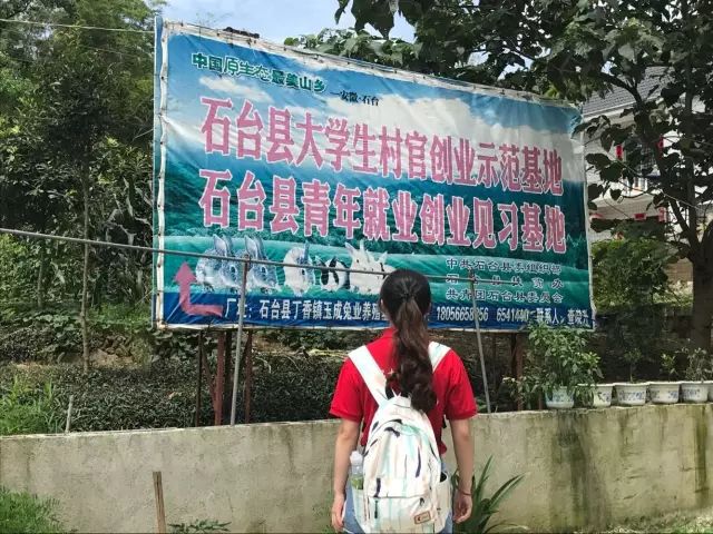 安徽石台高山富硒茶