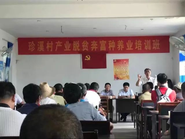 安徽石台高山富硒茶