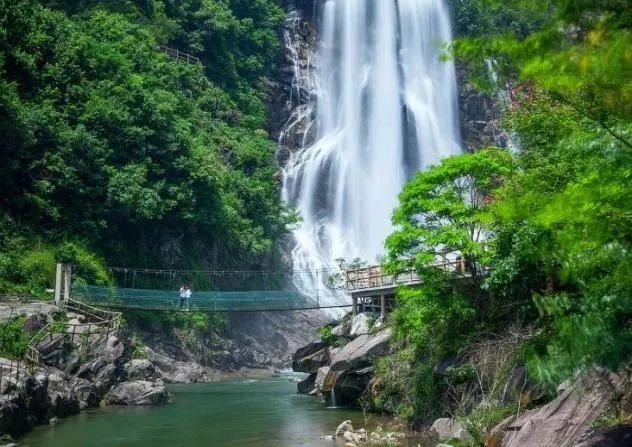 安徽石台高山富硒茶