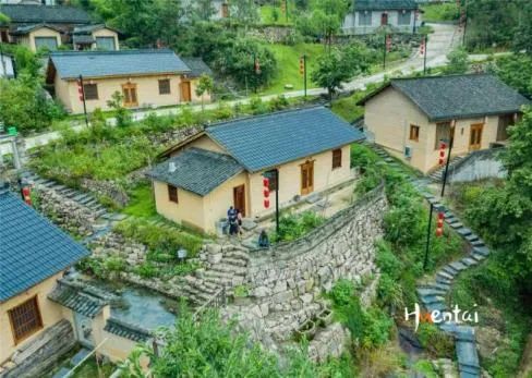 安徽石台高山富硒茶