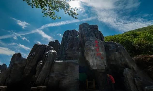 安徽石台高山富硒茶