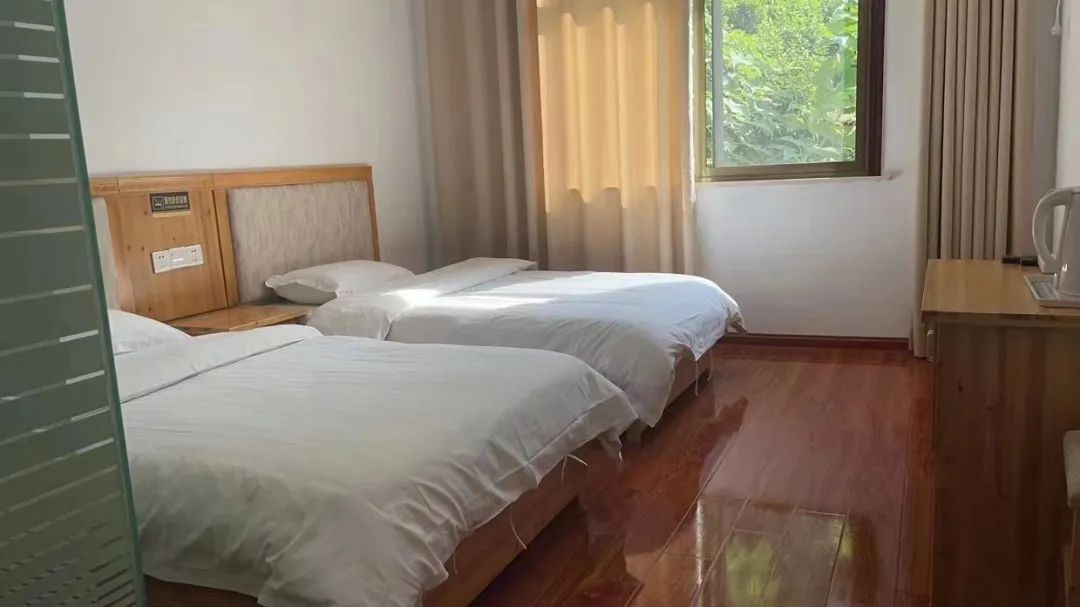 安徽石台高山富硒茶