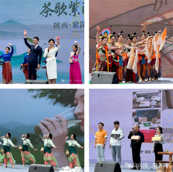 紫阳富硒茶销售渠道