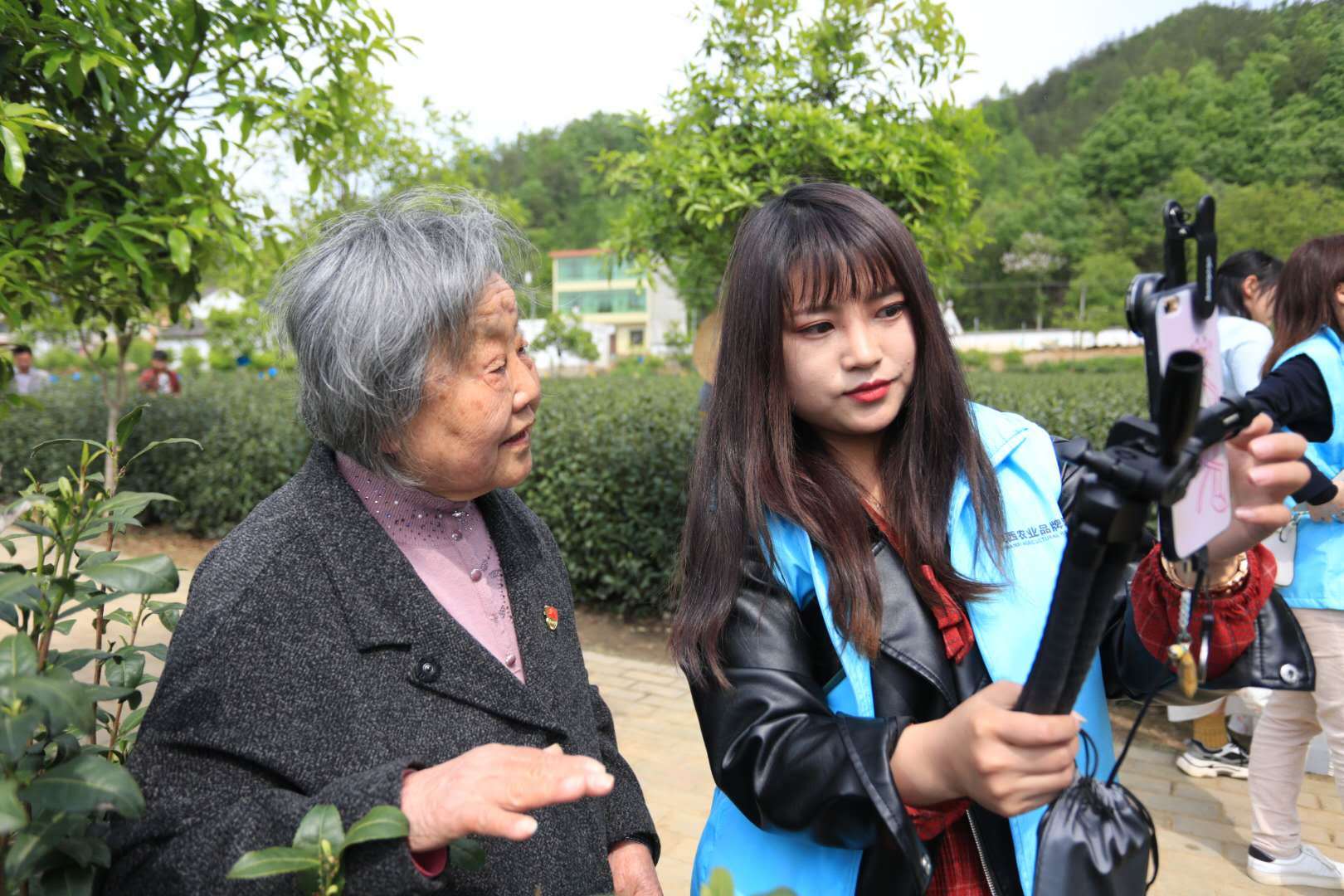 汉中哪有紫阳富硒茶