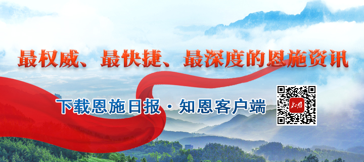 湖北富硒茶玉露工厂