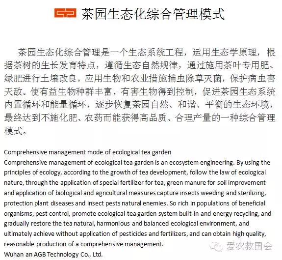 云雾问茶 恩施富硒