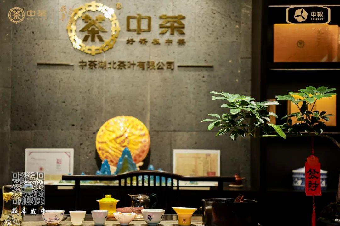 云雾问茶 恩施富硒