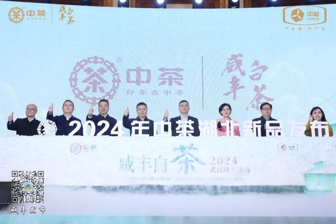 云雾问茶 恩施富硒