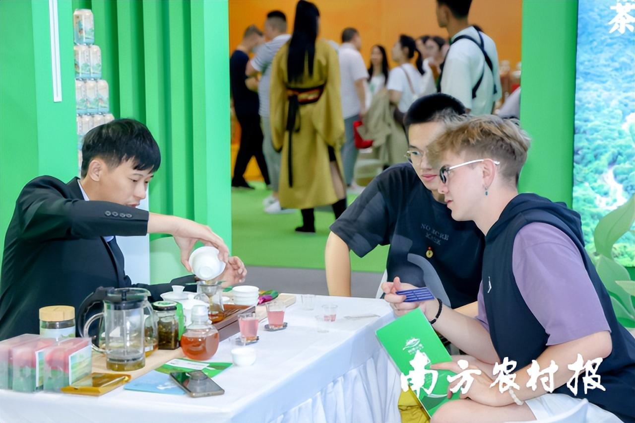 富硒茶啤酒代理选择
