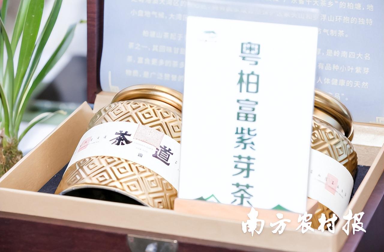 富硒茶啤酒代理选择