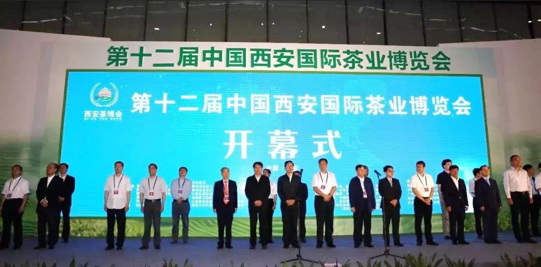 西安富硒茶什么牌子