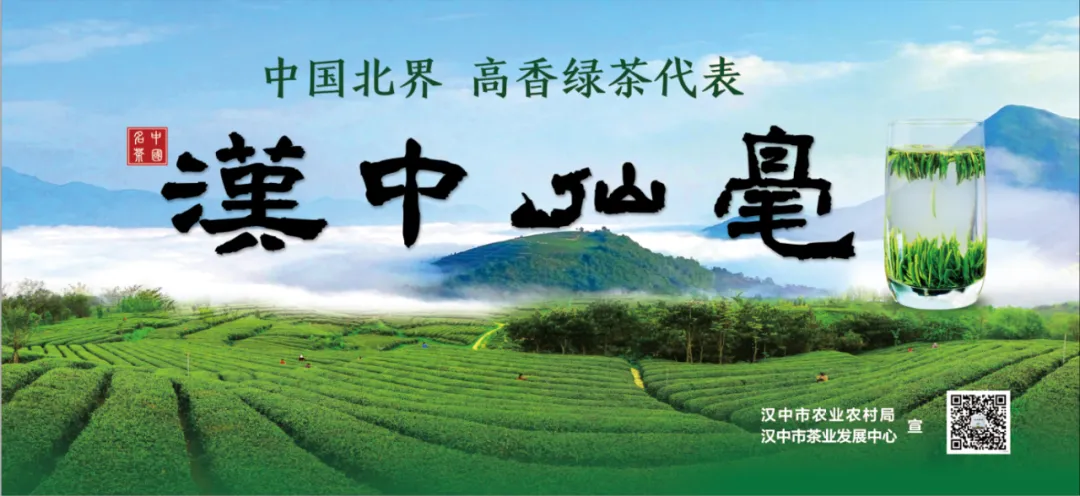 紫阳富硒茶冲泡之后