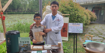 紫阳富硒茶冲泡之后