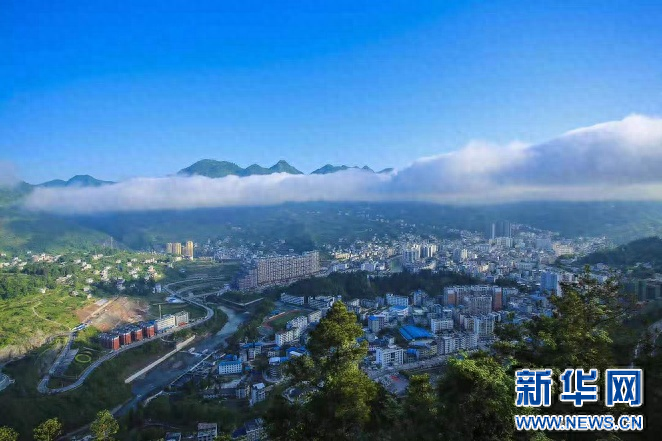 富硒茶啤酒代理公司