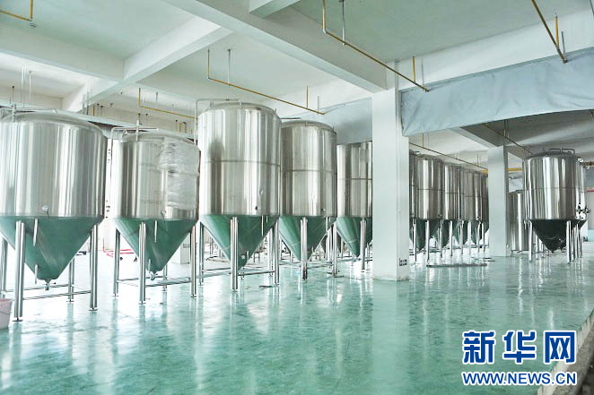 富硒茶啤酒代理公司