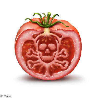 身体微量元素
