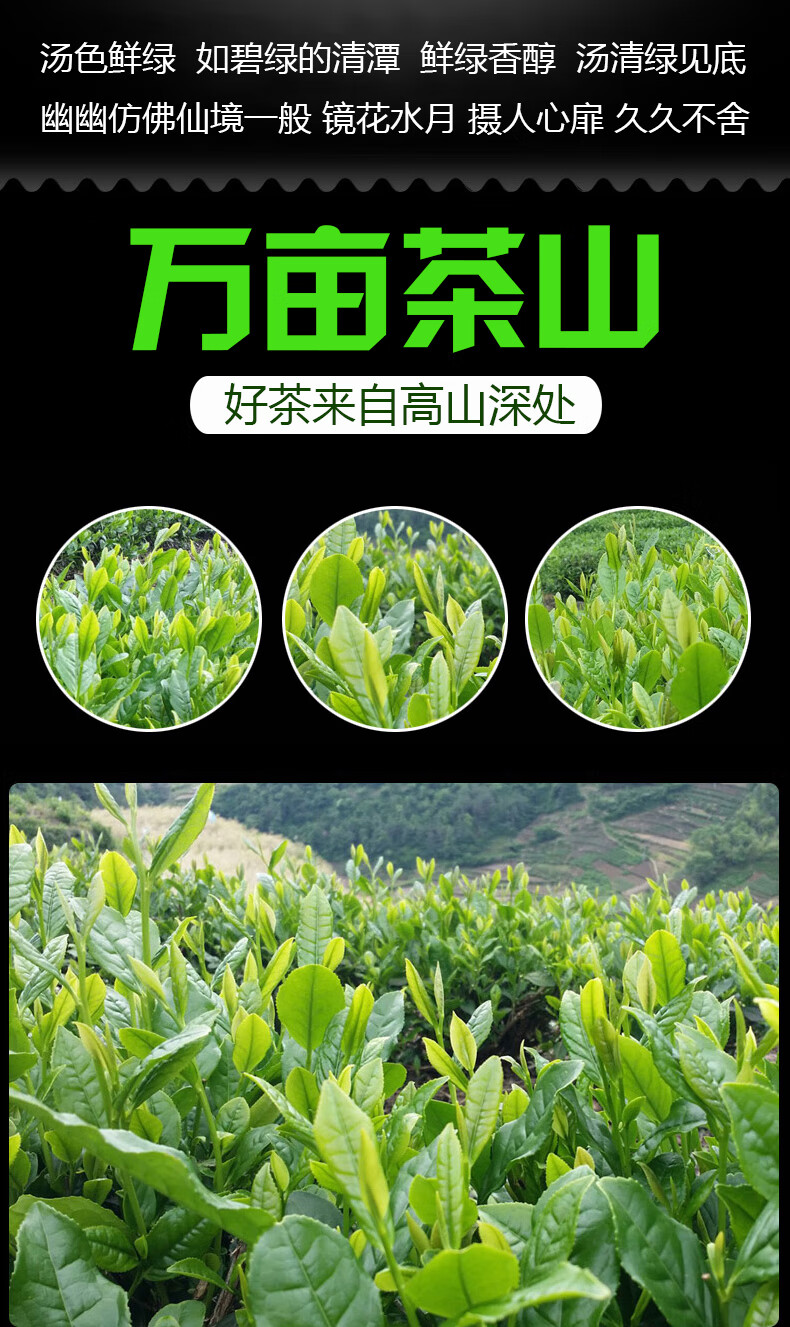 陕西紫阳富硒茶 隆