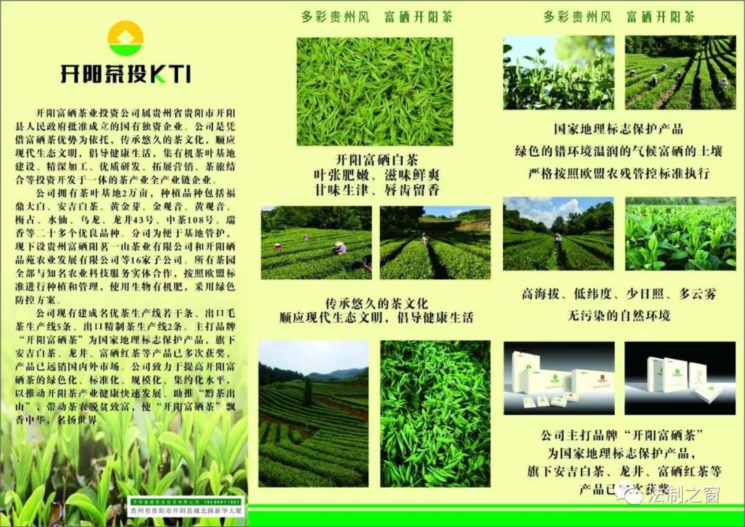 龙井43号 富硒茶