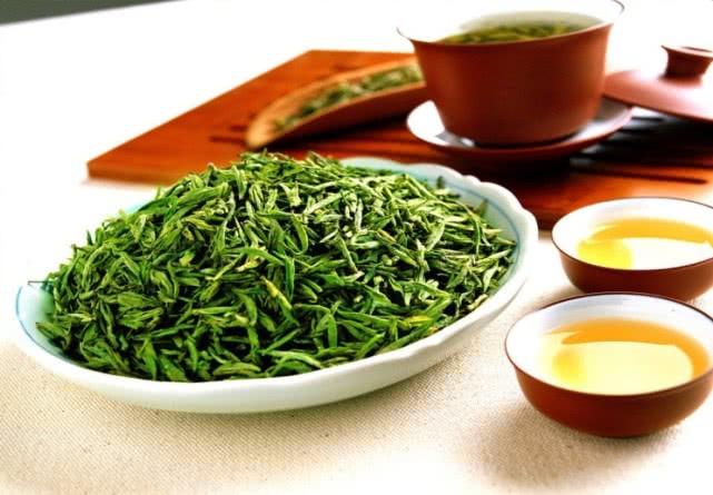 “世界上最早的茶”安康茶的种植技术，安康茶优质的保证