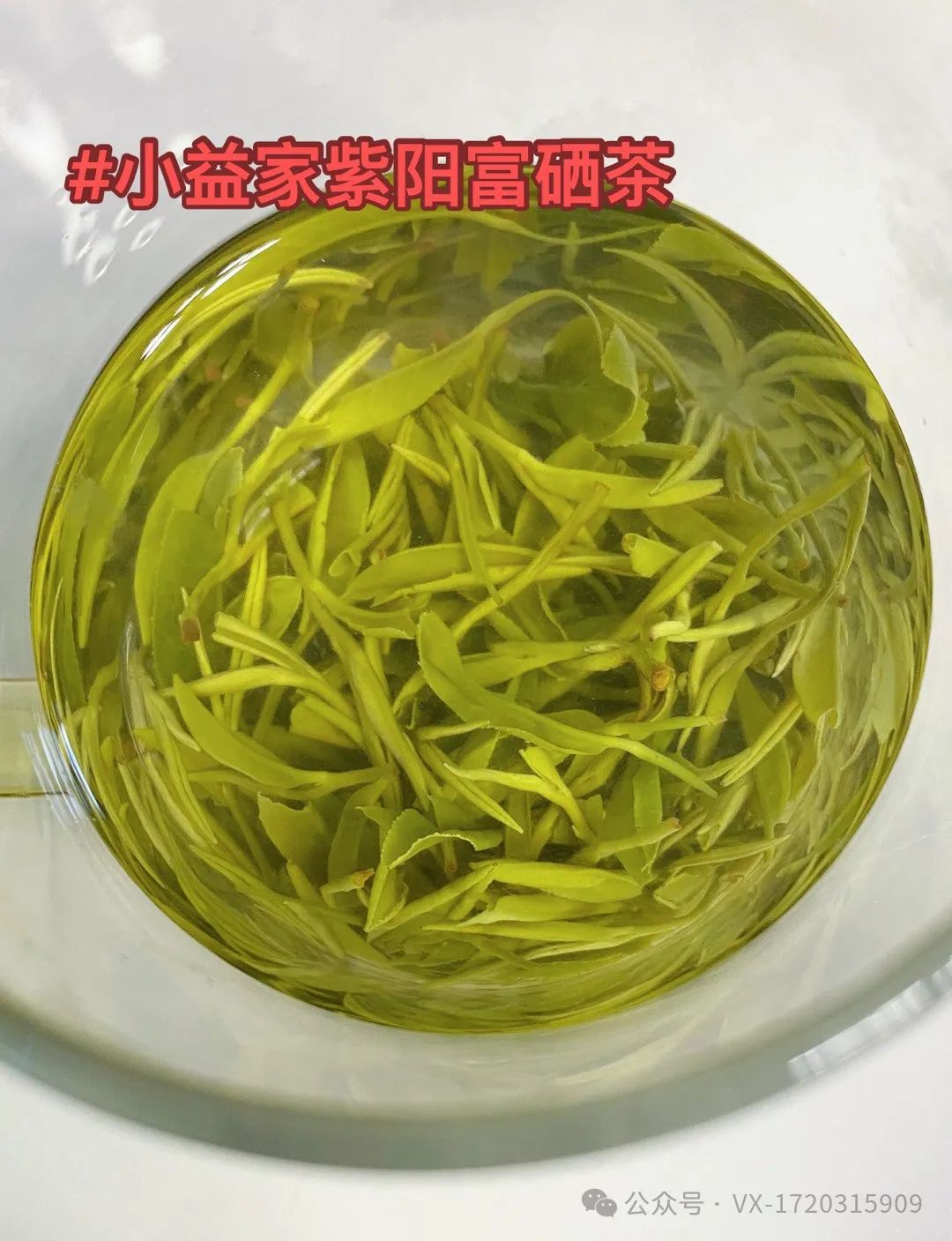 陕西茶叶紫阳富硒茶
