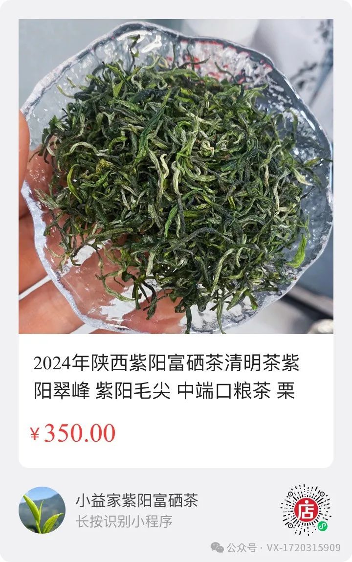 陕西茶叶紫阳富硒茶