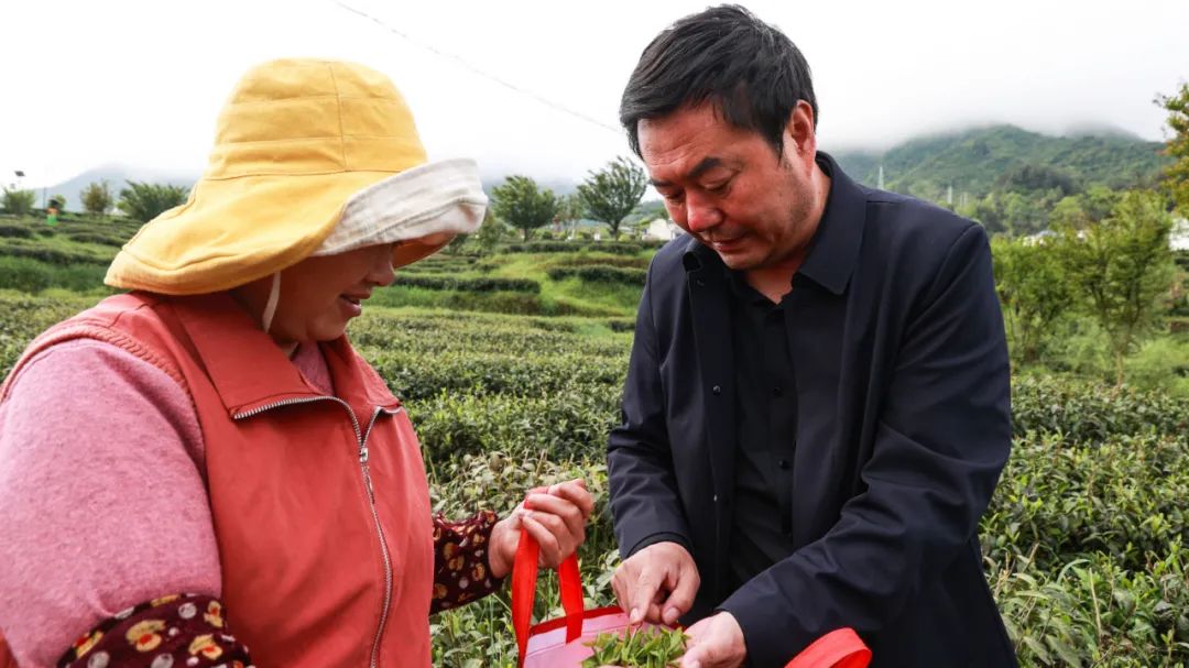 紫阳富硒茶qs认证