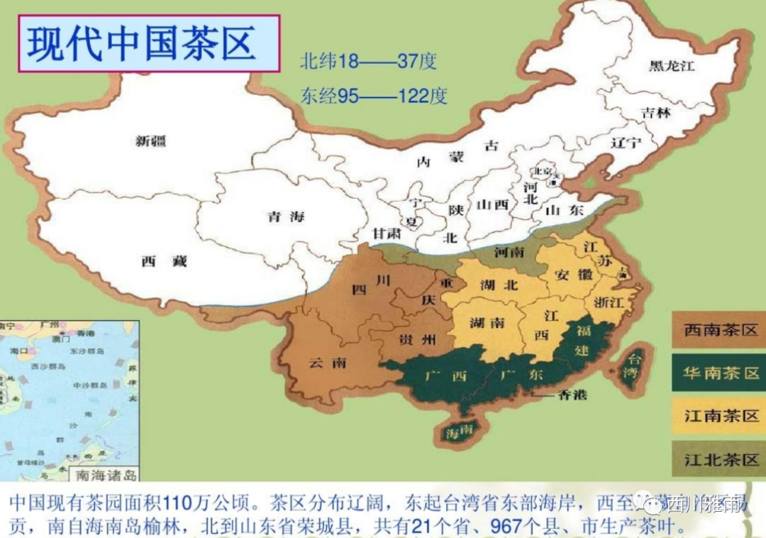 紫阳富硒茶银针价格