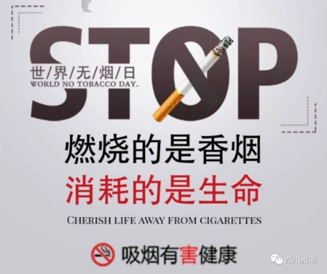 紫阳富硒茶银针价格