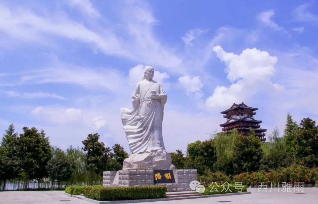 紫阳富硒茶银针价格