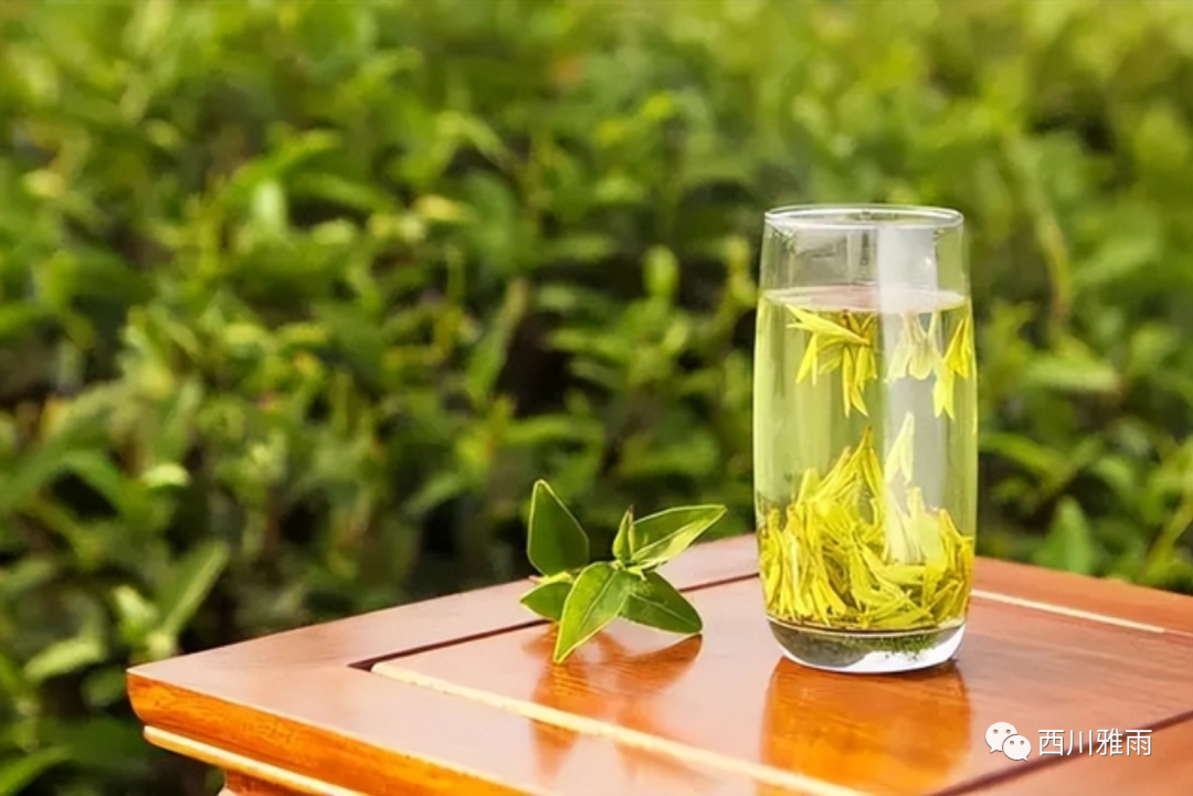 紫阳富硒茶银针价格