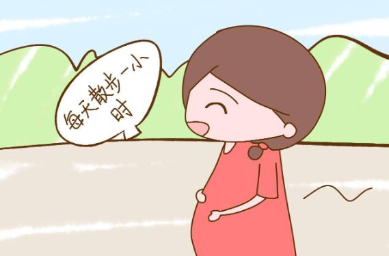孕期补钙食物