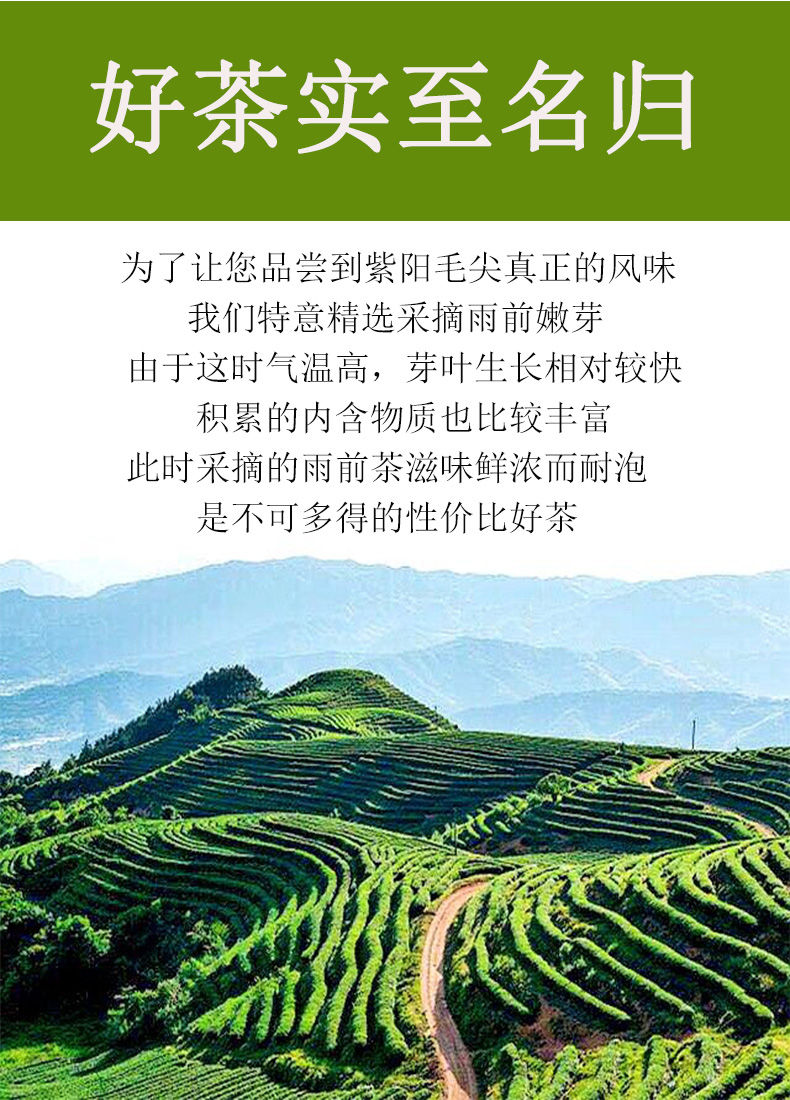 安康紫阳富硒茶销售